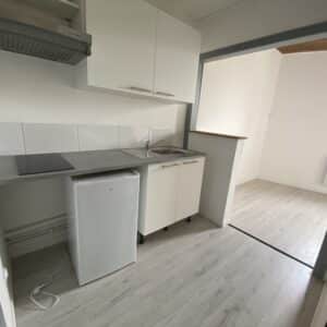 JARDIN DES PLANTES 3